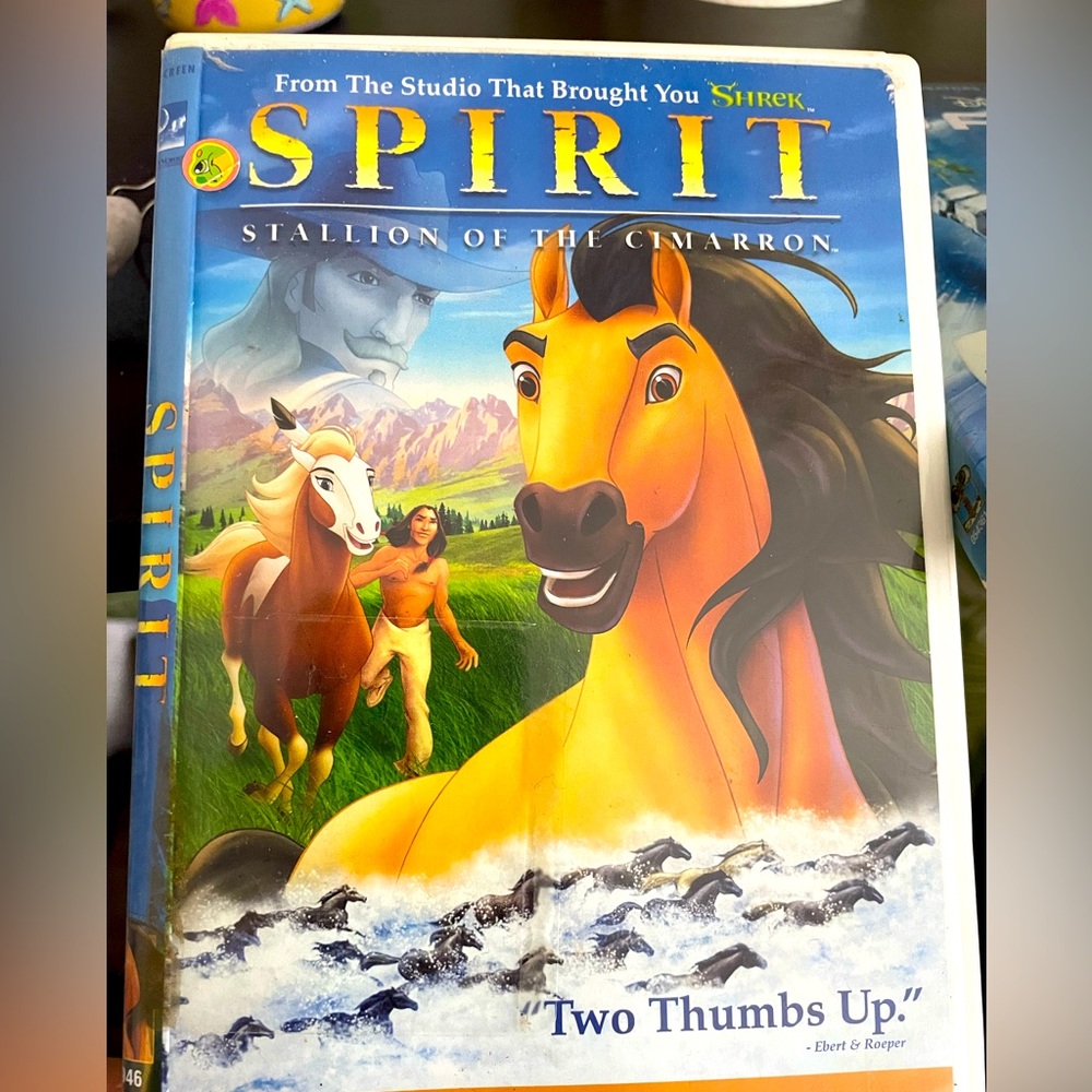 DVD disney Spirt